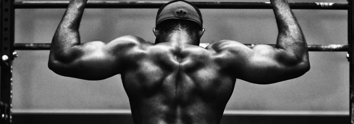 Bulk Up With The Science Of Bodybuilding