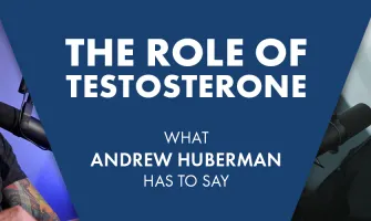 Testosterone Makes Effort Feel Good - Andrew Huberman and Joe Rogan