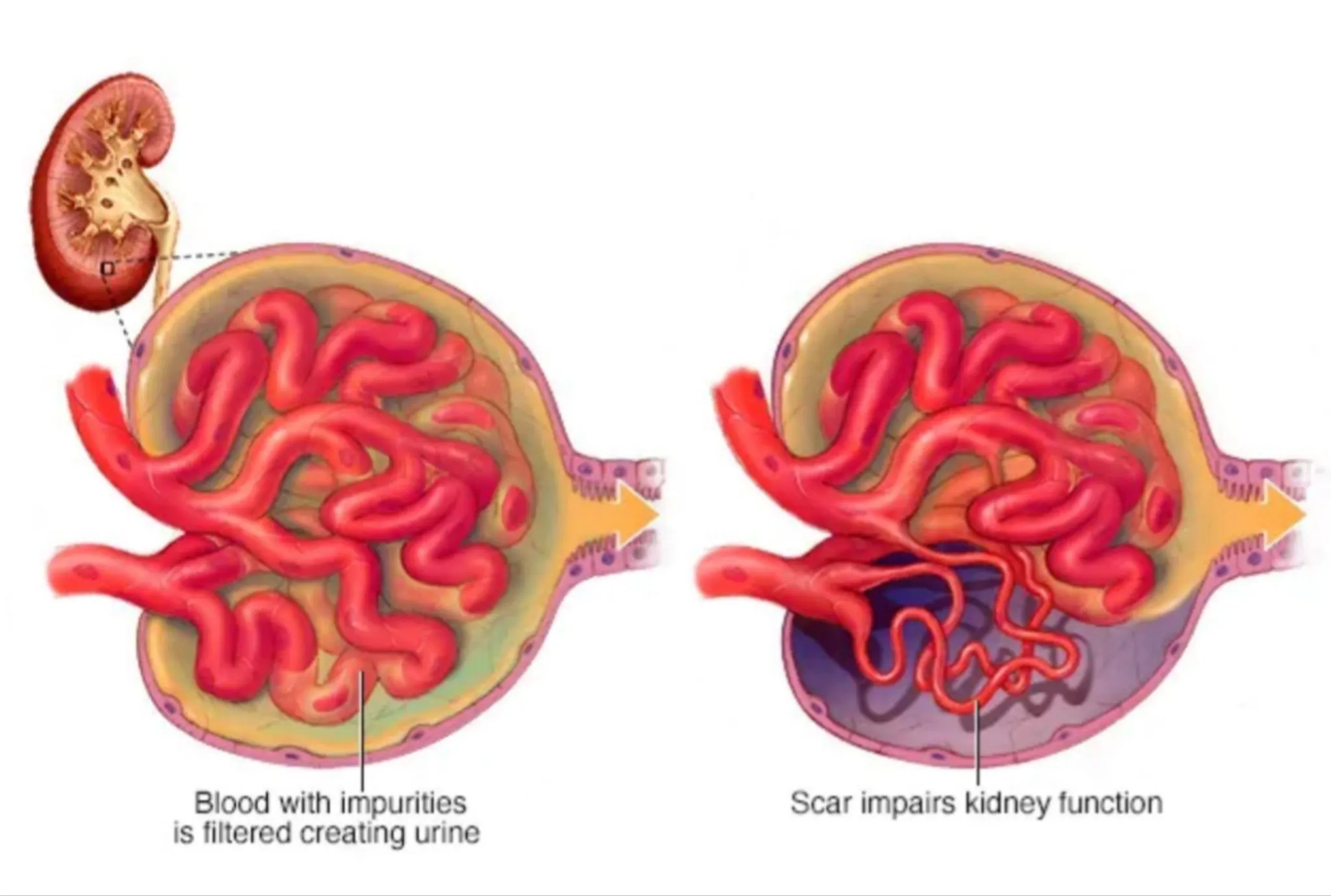 2e7f4a8eca5a35a75d8f78a85170a4fd50df6dde
