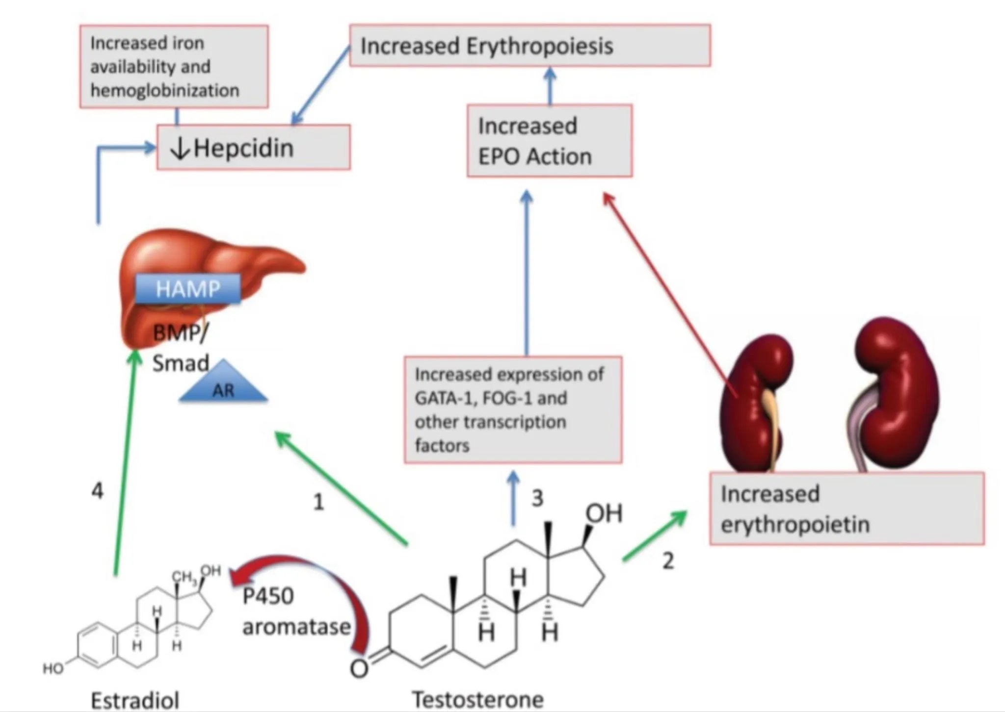 7c134100556780daa1edd0b470be0459f4ae17b6