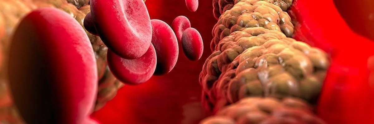 a10e85dfd21420025b0a8b445e6cda836afa1c1b