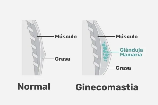 b1c2b44ca04792da2b6b2a86d6dc9ca7b52a3250